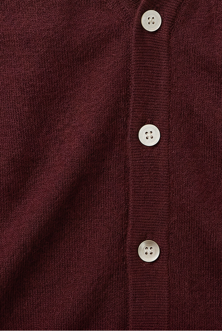 Cardigan homme col V boutonné en maille fine – Raphaël – vue 3