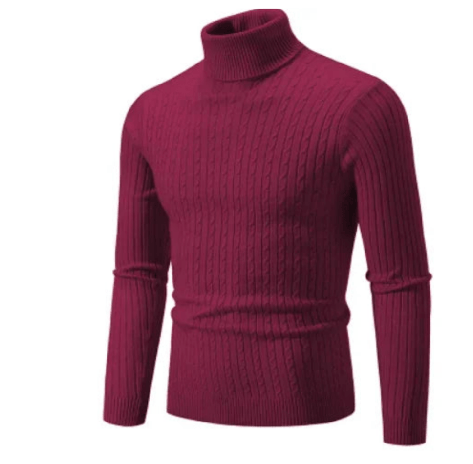 Pull col roulé homme en maille torsadée ajustée – Gabriel - Bordeaux